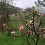 Il Melograno In Costa D'amalfi 3* Vietri
