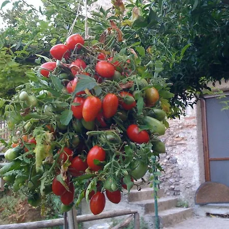Il Melograno In Costa D'amalfi Couette-café 3*